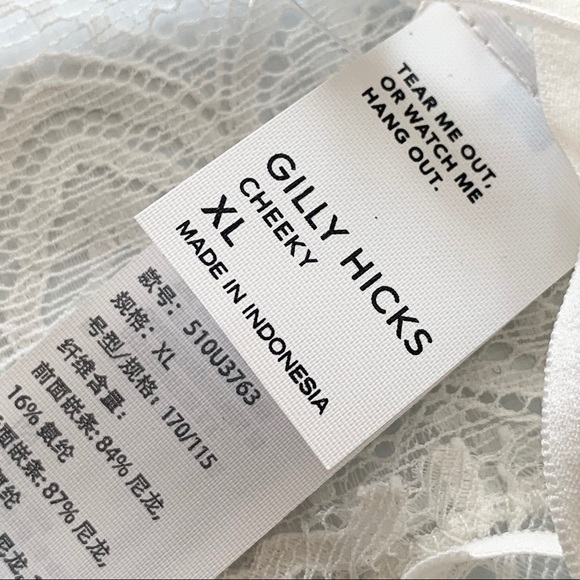 New XL Gilly Hicks lace cheeky panty NWT - Picture 6 of 7